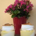 Panna  Cotta façon citron meringué
