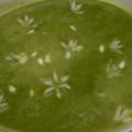 Potage printanier aux courgettes à l'ail des[...]
