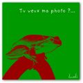 12 mois 