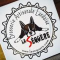Hep, Katxi ! Deux Torgnebugnes !