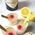 Happy summer : Shots glacés Gin & tonic