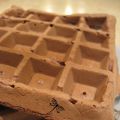 Gaufres au chocolat (Cacao)