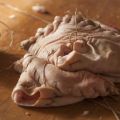 Estomac de porc farci