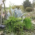 {La balade du dimanche #49} Zoa, jardin[...]