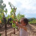 Balade du dimanche #36
