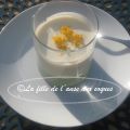 POSSET AU CIRON MEYER