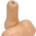 Velouté de butternut squash à la sauge
