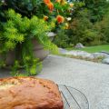 Pain aux bananes et aux noix de Grenoble de[...]