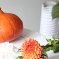 5 recettes d’automne