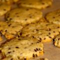 CRACKERS SALÉS POUR L'APÉRO, OU LA FOIS OU JE[...]