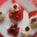 Monsieur Cuisine......le sorbet aux fruits.