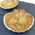Coquilles saint jacques au cidre