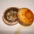 champignon farci