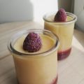 Mousse de mangue sur coulis framboise.