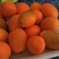 Kumquats confits