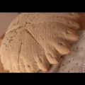 Recette de Pain Marocain à l'anis et au sésame[...]