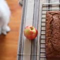 Cake aux pommes, sirop d'érable et noisettes