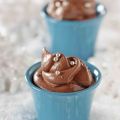 Mousse au chocolat  facile