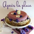 Après la pluie