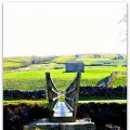 Le Tour in Yorkshire