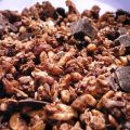 Granola façon Quakers choco-tonka-noix