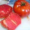 Tomates coeur de boeuf, les vraies !