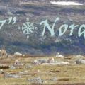 Nord Way Road trip : La route de l'Atlantique[...]