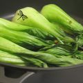 Bok choy braisés
