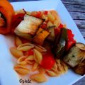  Brochettes de ratatouille sur pâtes aux[...]