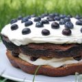 Gâteau aux myrtilles et son glaçace citron[...]