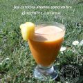 Pur Jus avec mon nouveau joujou : un extracteur[...]