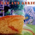 Gâteau aux abricots