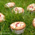 Muffins aux fraises et amandes