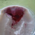 Panna cotta vanille coeur fruité