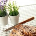 Gâteau doudou (chocolat / noix de coco) - Ronde[...]