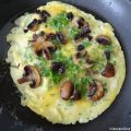 Rouleaux croustillants d'omelette et[...]