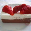 Terrine mousseuse chocolat vanille - 2PP /[...]