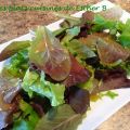 Vinaigrette moutarde et miel