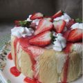 Charlotte aux fraises