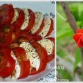 Tomates Mozzarella, l'incontournable!