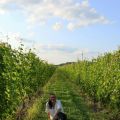 Vino & tapas, pour vous dépayser le temps d'une[...]