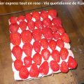 Fraisier express tout en rose (Site 750g: les[...]