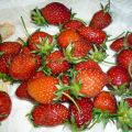 Panacotta semoule-fraises