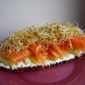Tartine toute fraiche au saumon et fromage frais