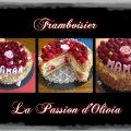 Framboisier Facile