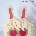 Gâteau Lama - Joyeux anniversaire ma Chacha !
