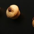 Muffins au coeur de Nutella