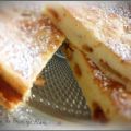 Gâteau au fromage blanc pommes et raisin[...]