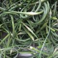 Pesto de Fleurs d'ail