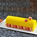 Buche passion / coco / citron - sans[...]